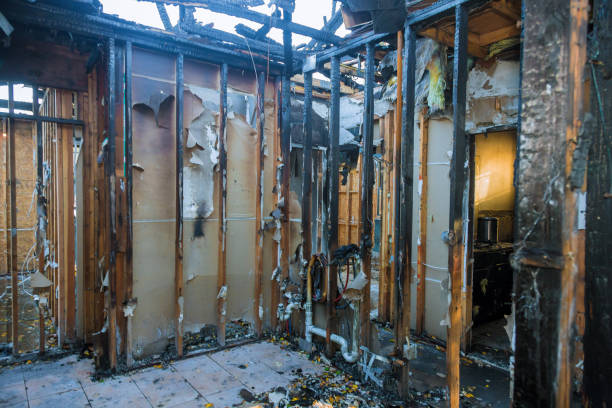 Professional Fire Damage Removal technician working in Green Isle, MN