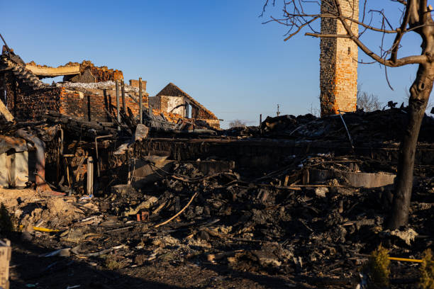 Reliable Fire Damage Removal contractor in Green Isle, MN by Fire Damage Doption