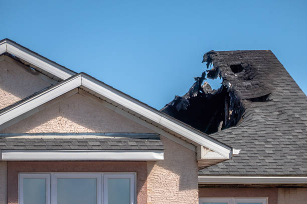 Top rated local Fire Damage Removal specialists in Green Isle, MN